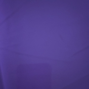 hornybunny202020