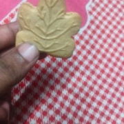 Afreenkhaloon