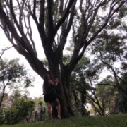 Adhara_20