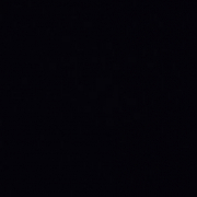 HolyShittt