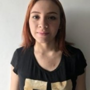 AryaSV