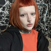 MolliePie