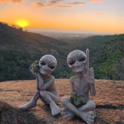 indicabby420