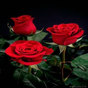 Jelenna_Scott