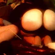 lgiyfufhttpsdirtyroulette