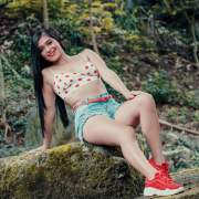 AnaVil