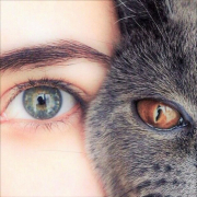 angel_eyes