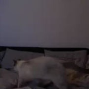 mia_kevin