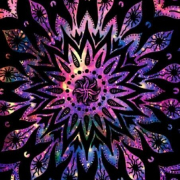 candacerouse