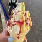 Sara_Falak