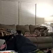 legendarybirdie82