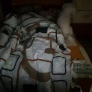 nocriveno