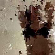 tallbrunette24