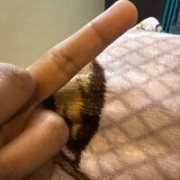 INDIAN69Fuck