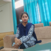 Desi_pataka1