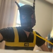 puppyvlc24