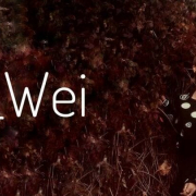lana__weii