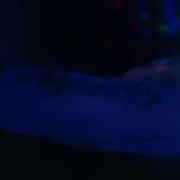 jnkorlando