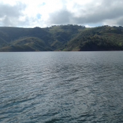 The_girls_playful_ones