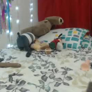 caitlin_gomez
