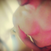 Loveyoushe