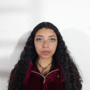 ARYATNA_ANAL_X