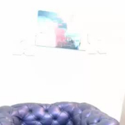 sofialewins