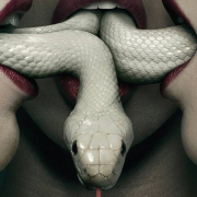 ophidian