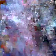 xscarlettwebbx